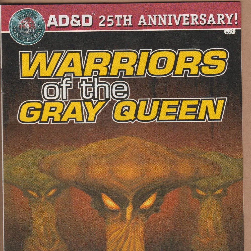 Advanced Dungeons & Dragons AD & D 25TH Anniversary Warriors Of The Gray Queen